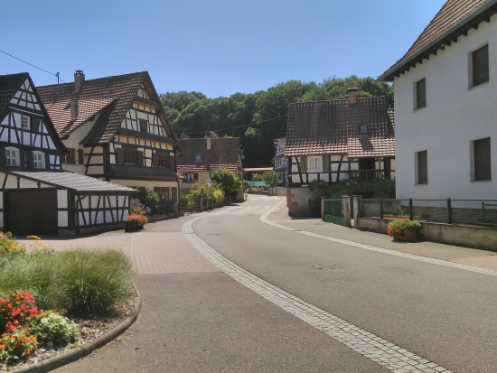 Climbach (Elsass) 
am 7. August 2022